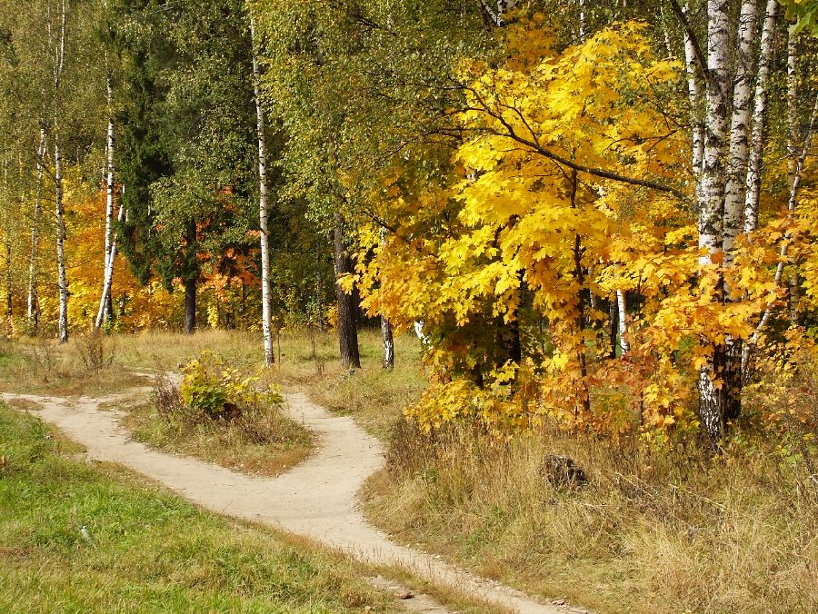 Золотая осень