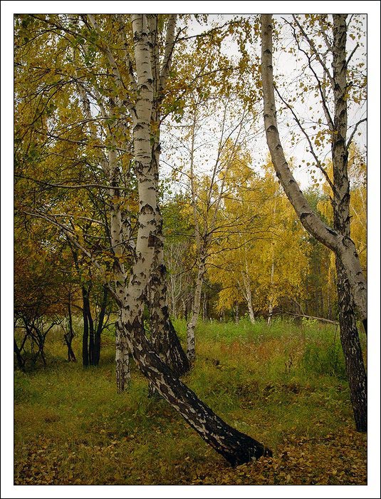 осенний пейзаж