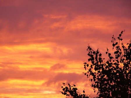 Зарево заката