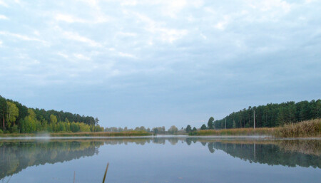 Синяя осень утром