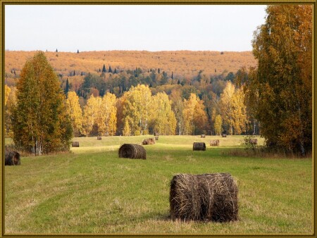 В золоте