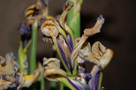 без названия #1