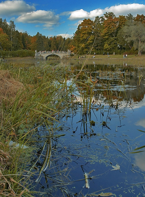 В осеннем парке.