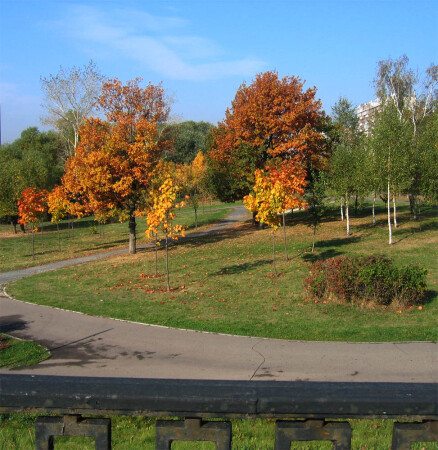 Московская осень