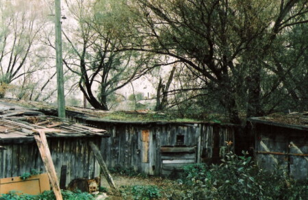 сараи