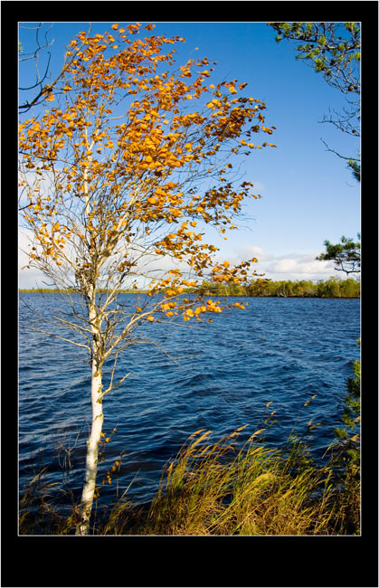 Осень