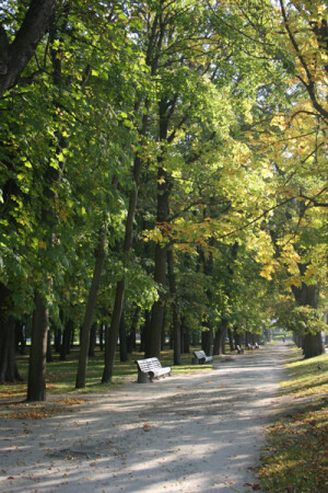 осенний парк
