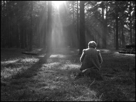 два одиночества