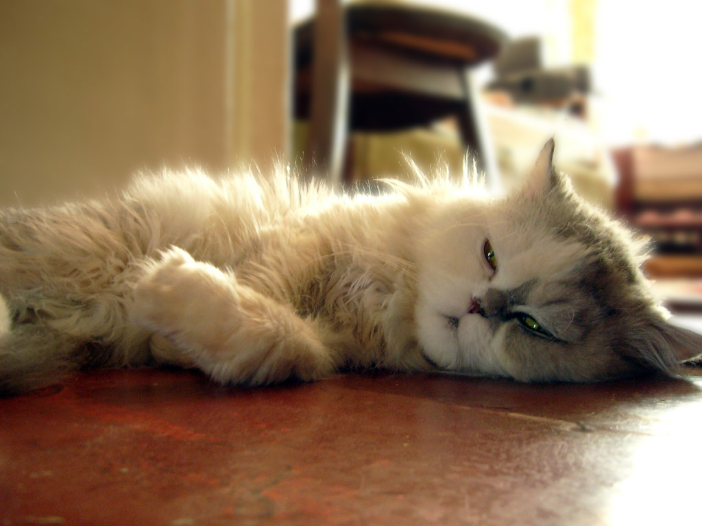 Relaxation