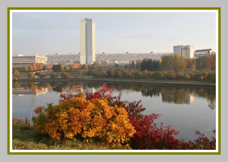 Букет для города