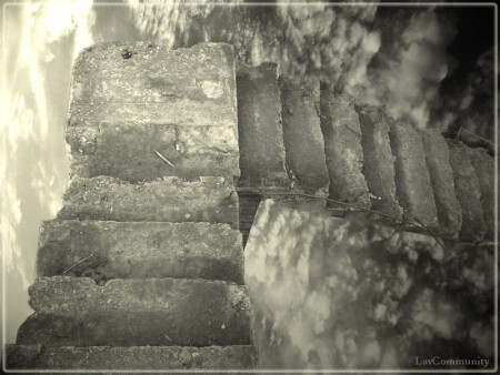 ближе к звездам, оглядываясь назад...