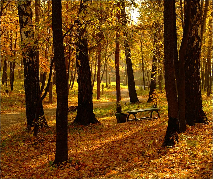Краски осени