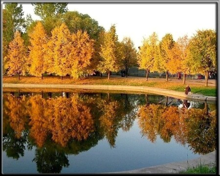 Отражение осени