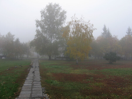 Утро осени