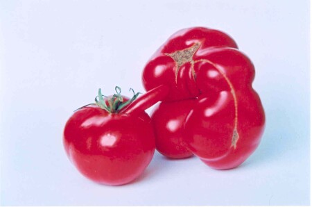 Страсть или Помидоры тоже Люди