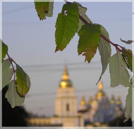 Листья