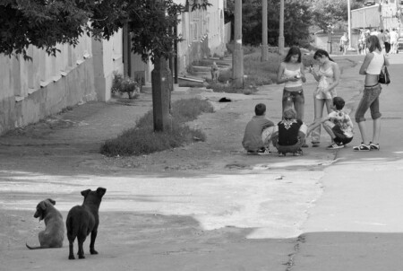 о ребятах и зверятах