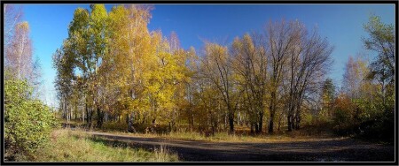 Осень