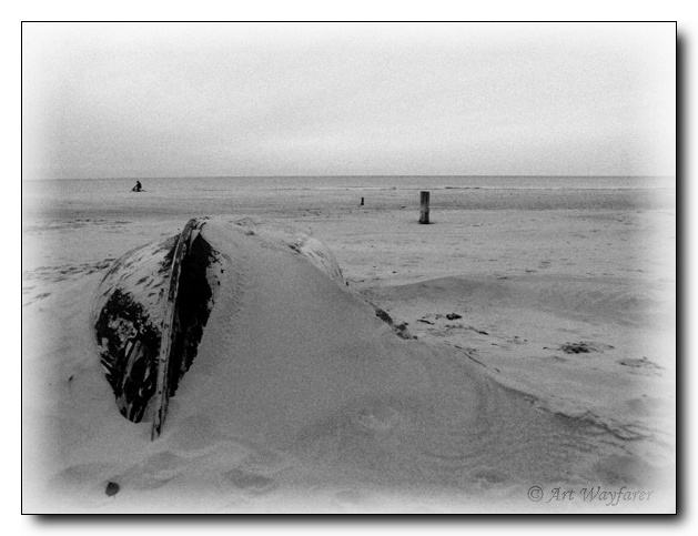 No season (autumn on the beach...)