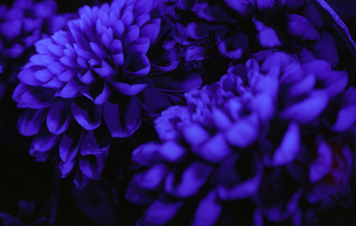 Fluoro