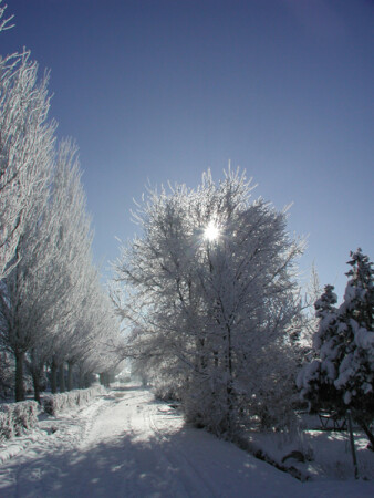 Мороз и солнце,...