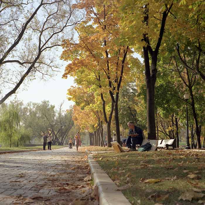 Про художника (фото1)