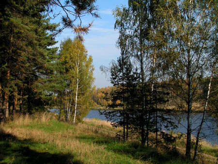 ОСЕННЯЯ...