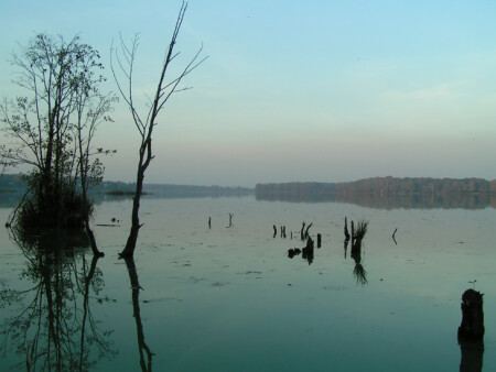 Подмосковное озеро