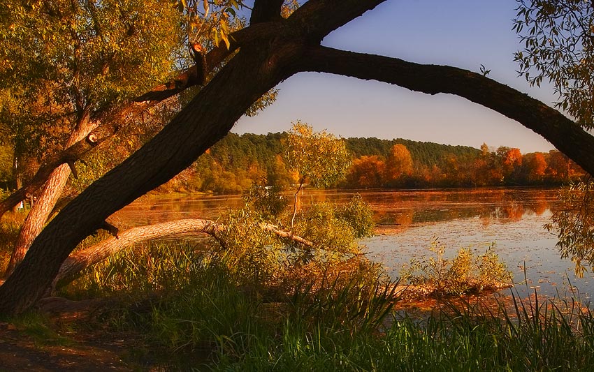 Предзакатно-осенний этюд в буйных красках