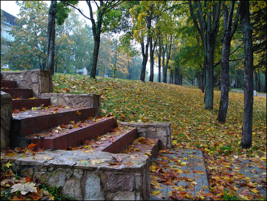 Осенние ступени