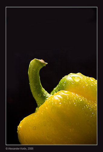Yellow Pepper