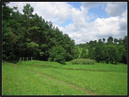 Рідна Україна!!!