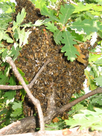 Их испортил квартирный вопрос...