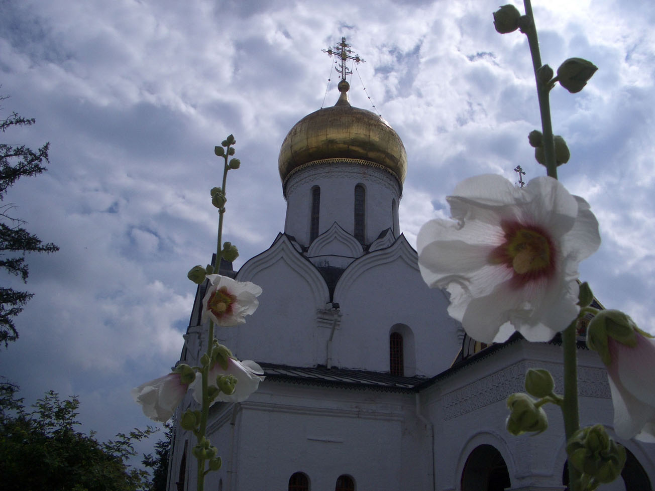 Саввино-Сторожевский монастырь.