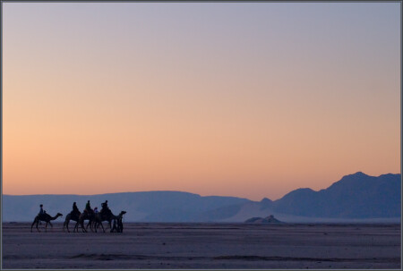Caravan