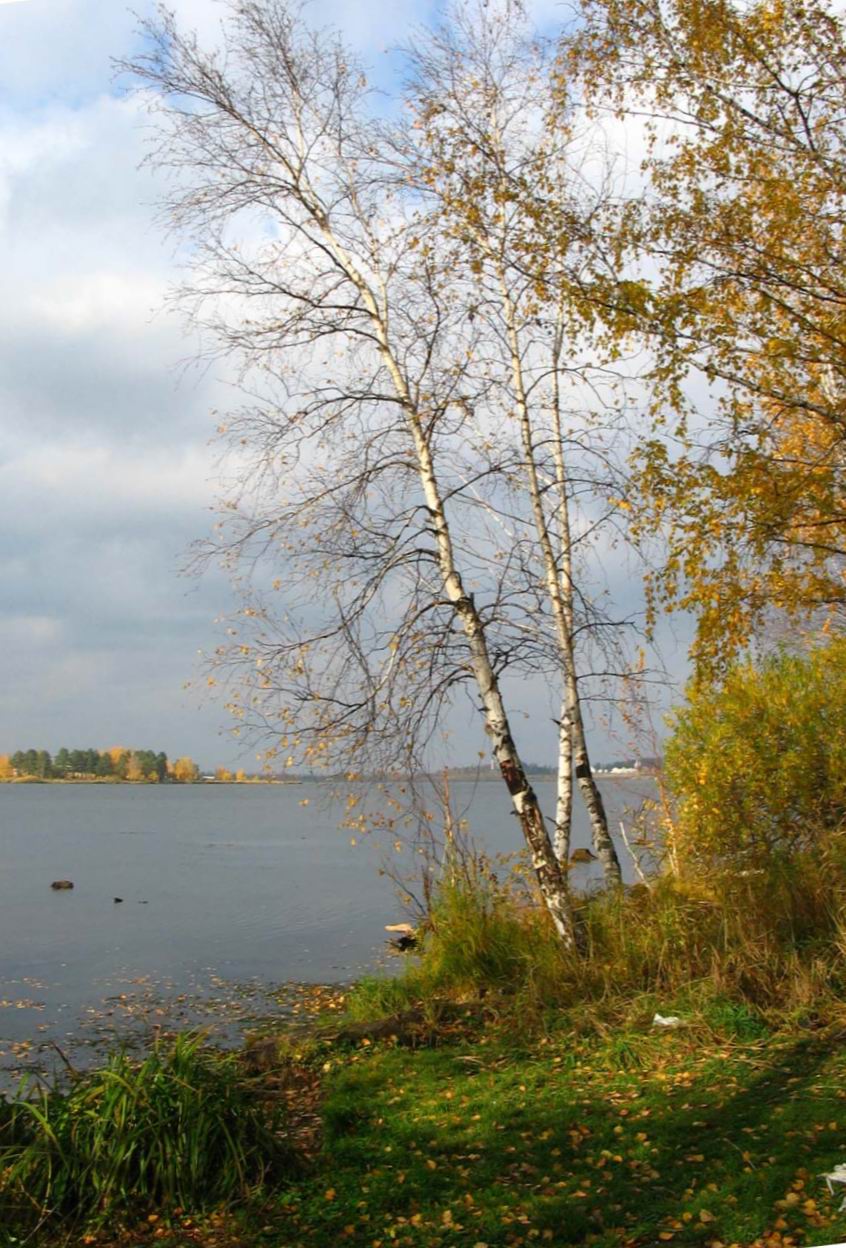 Осенняя пора