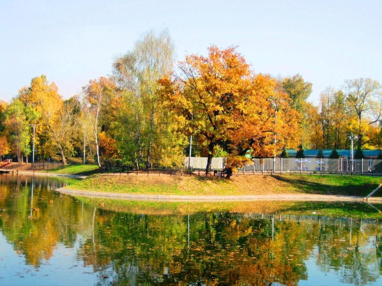 Золотая осень