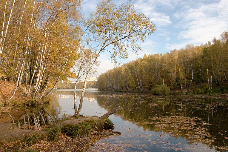 Осень в Тропаревском парке