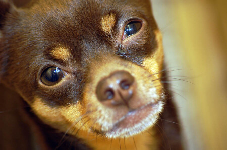 Ну чего тебе?