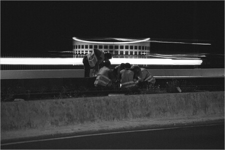 Пикник на обочине