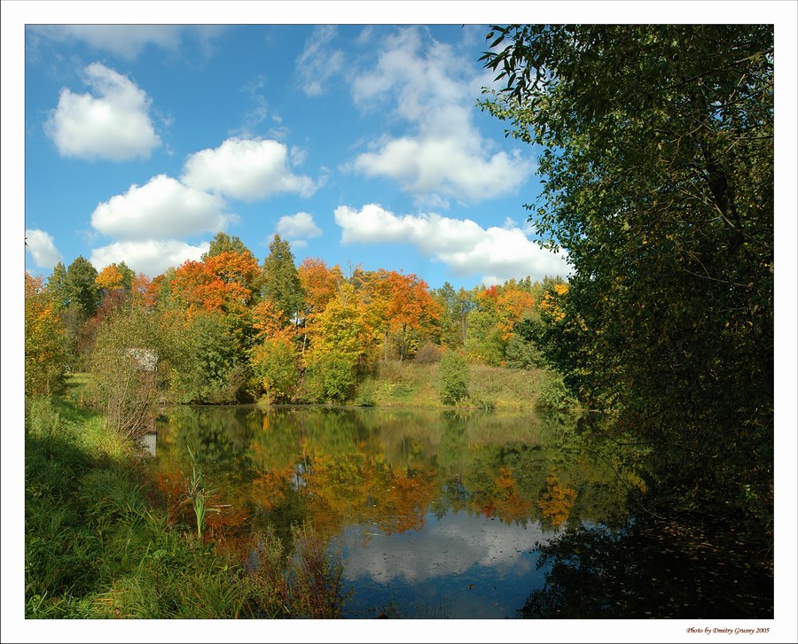 The colour of autumn...