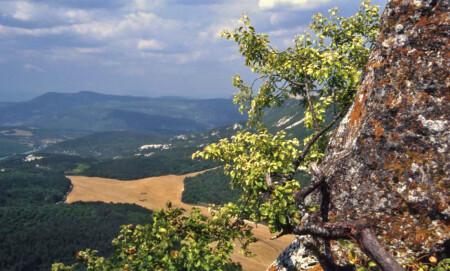 Вид с плато Мангуп