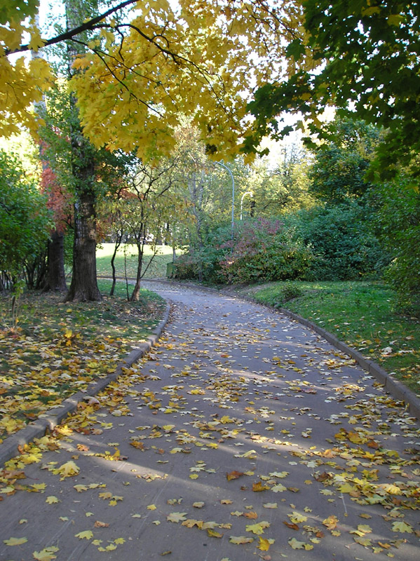 Краски осени