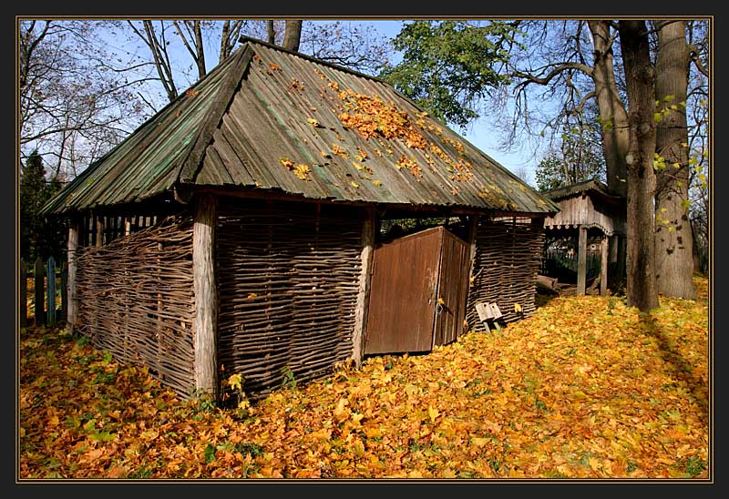Сарай осенью