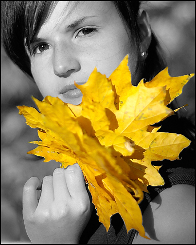 Autumn tints