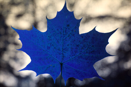 Deepskyblue