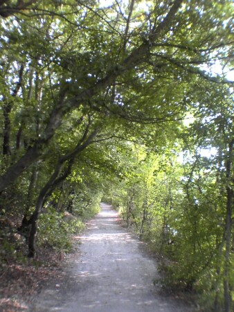 Куда ты дорожка...