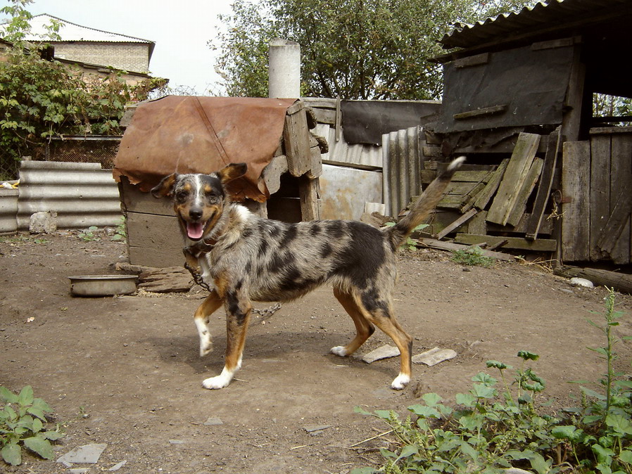 Мир. Дружба. Жвачка.