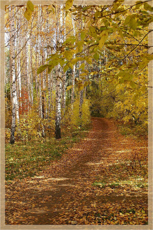 Осень