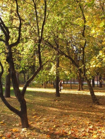 Russian fall..